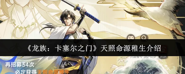 天照命源稚生介绍