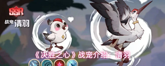 战宠介绍：清羽