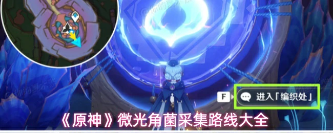 微光角菌采集路线大全