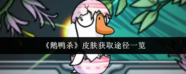 皮肤获取途径一览