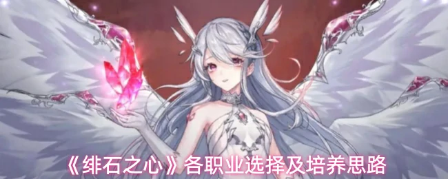 各职业选择及培养思路