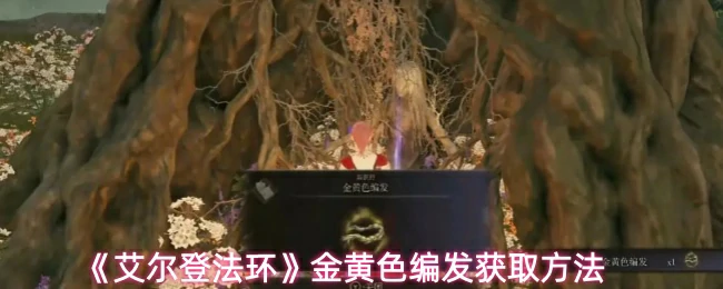 金黄色编发获取方法