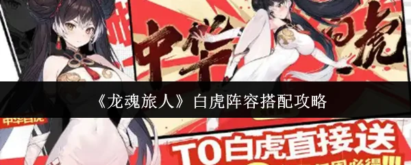 白虎阵容搭配攻略