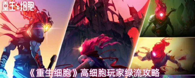 高细胞玩家绿流攻略