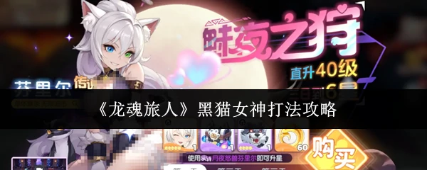 黑猫女神打法攻略
