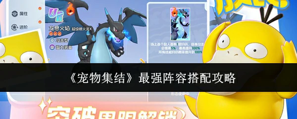 最强阵容搭配攻略