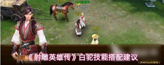 白驼技能搭配建议
