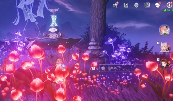 幽夜幻梦任务攻略,鸣潮