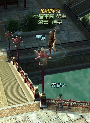 龙OL黑猫任务攻略
