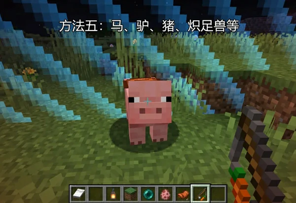 地图边界怎么穿越2025年,我的世界