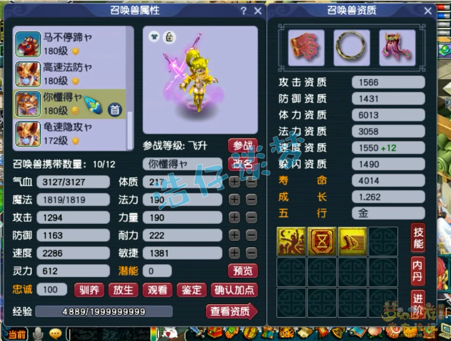 175帮战狮驼岭装备展示,梦幻西游