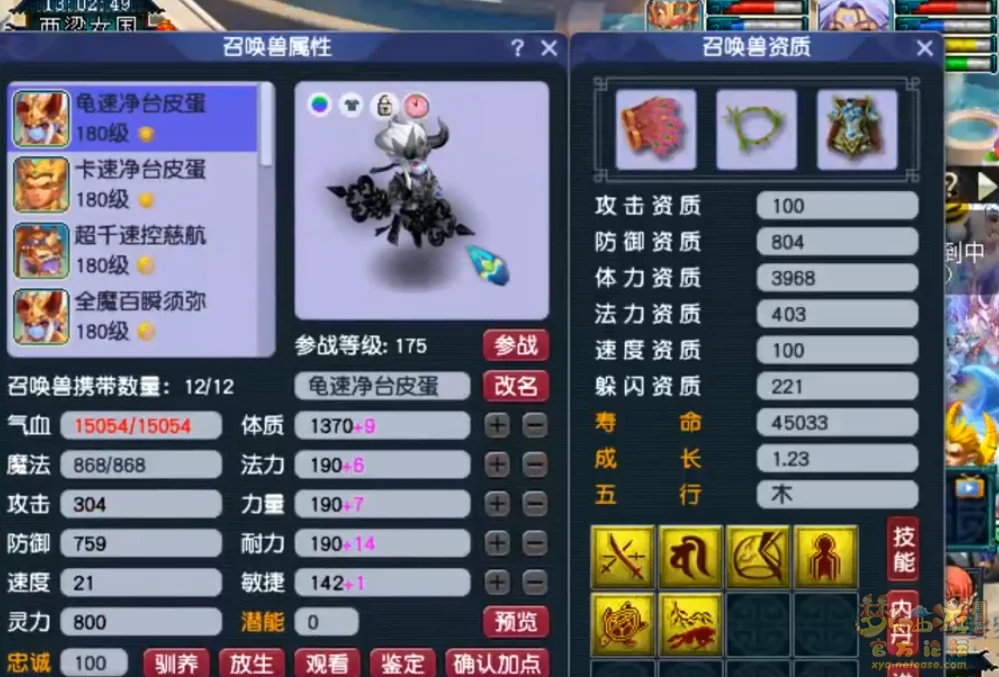 阴曹地府展示图175级,梦幻西游