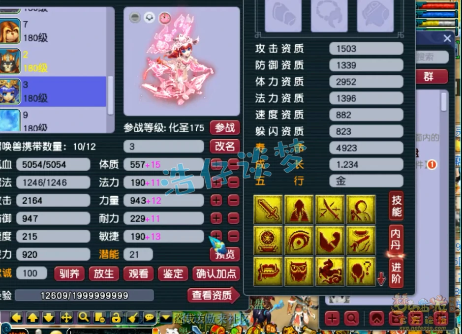175凌波城装备展示,梦幻西游