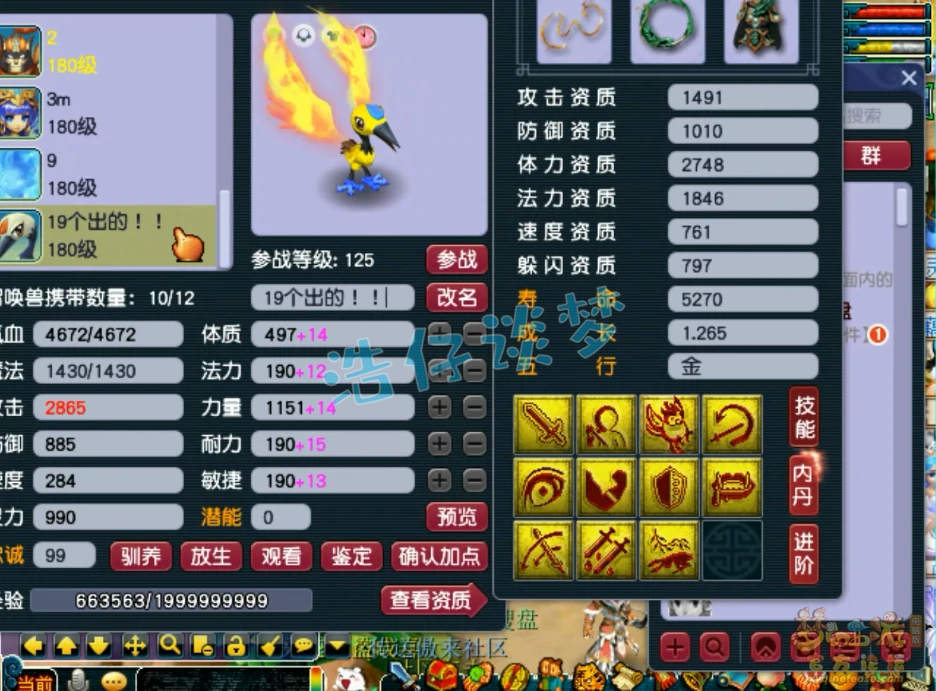 175凌波城装备展示,梦幻西游