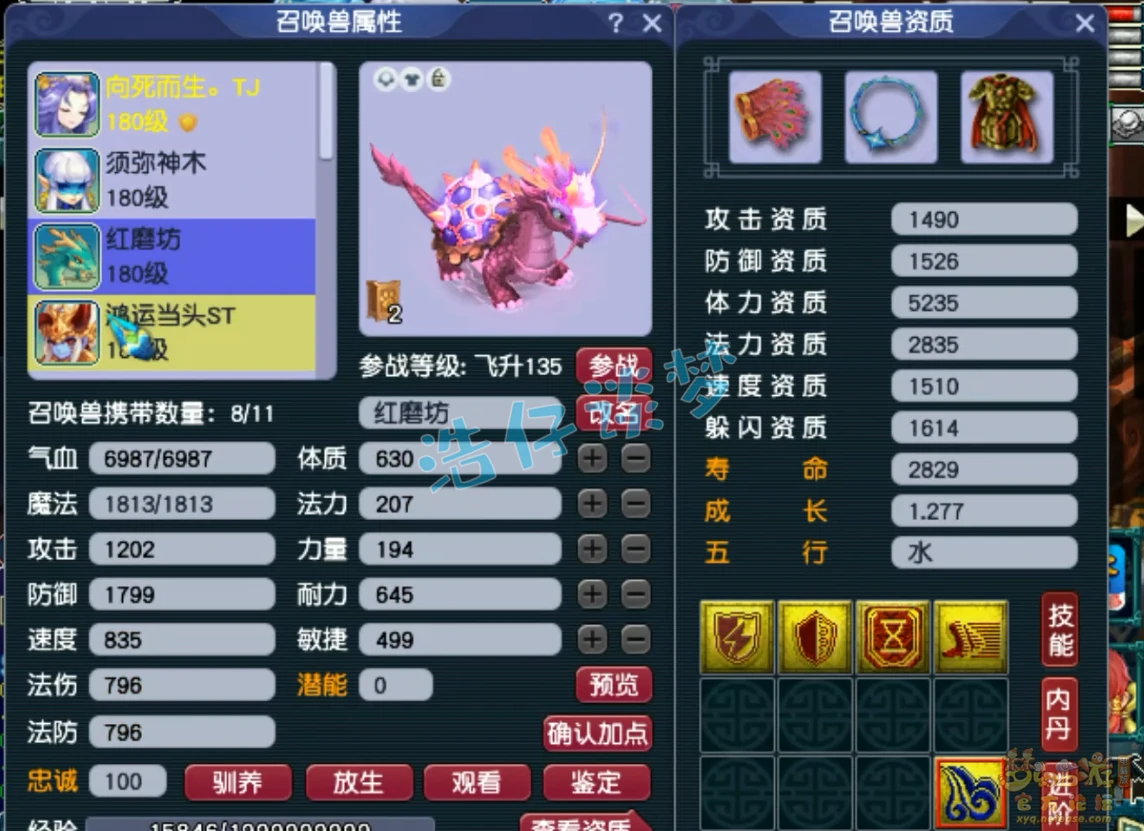 任务狮驼岭装备展示175级,梦幻西游