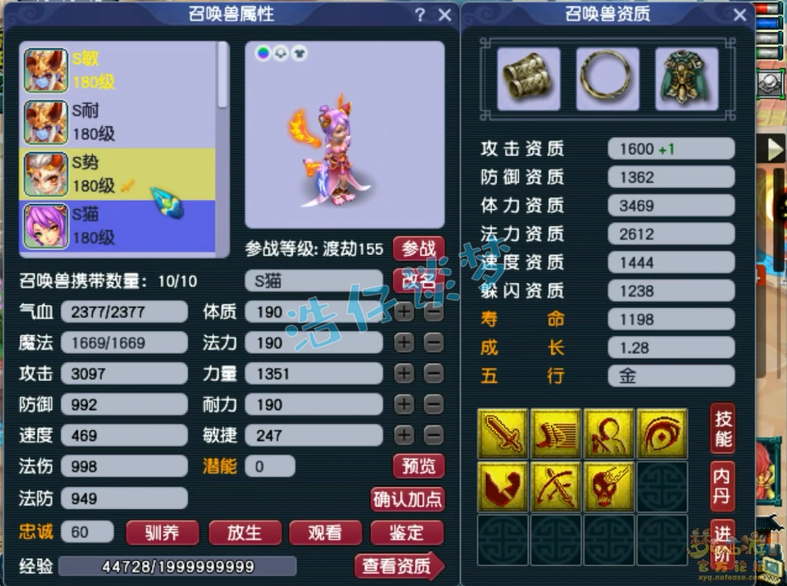 帮战175级神木林装备展示,梦幻西游