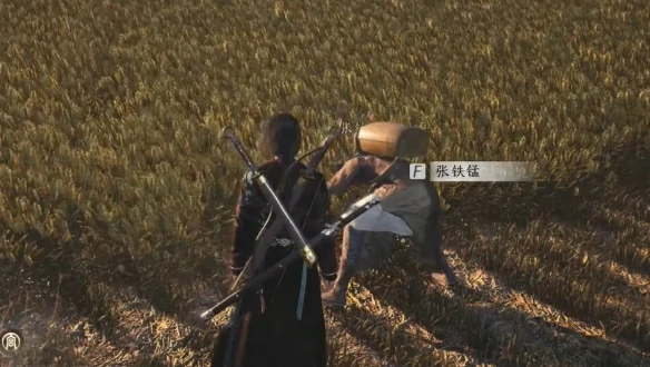 NPC对话界面