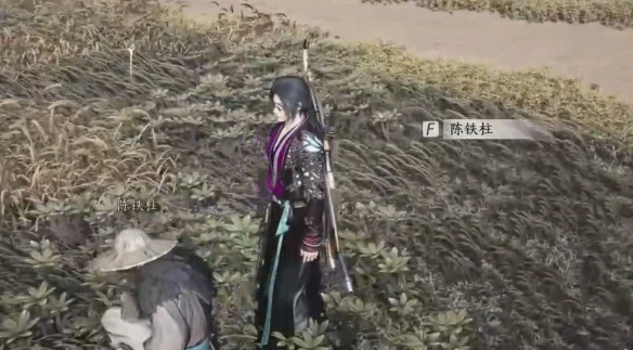 田中生金任务攻略,燕云十六声