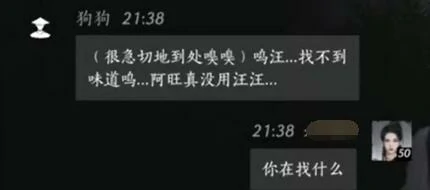 对话选项界面