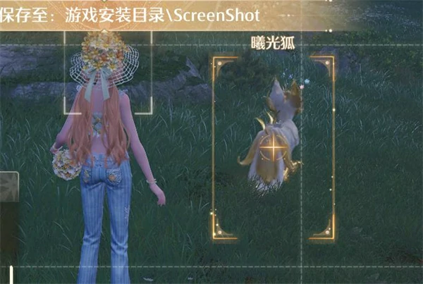 曦光狐位置在哪里,无限暖暖