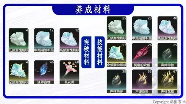 洛可可培养攻略,鸣潮