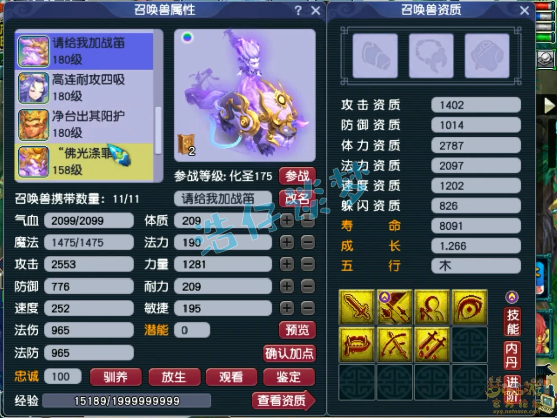 175化生寺装备搭配攻略2025,梦幻西游