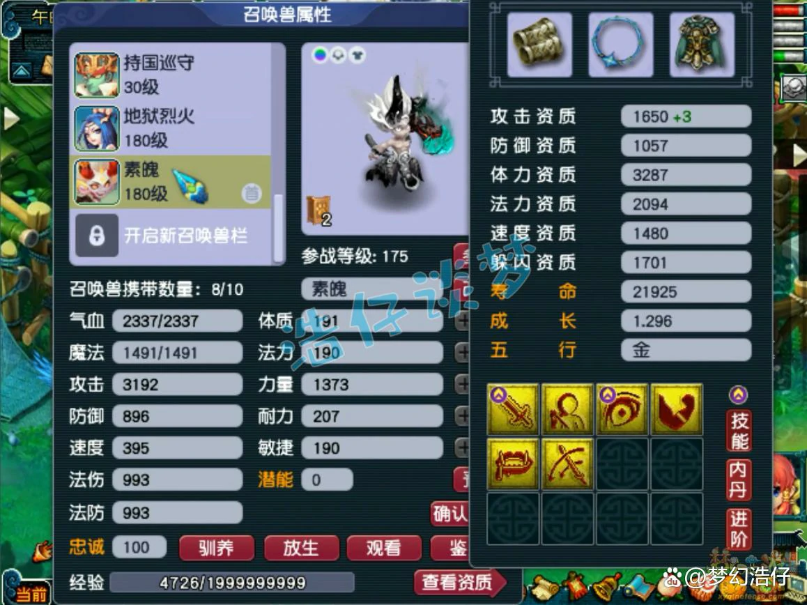 神木任务装备175级展示图,梦幻西游