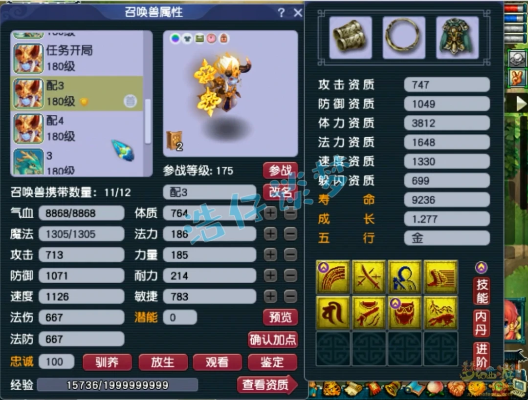 九黎城175级展示,梦幻西游