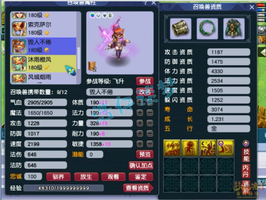狮驼175装备搭配图,梦幻西游