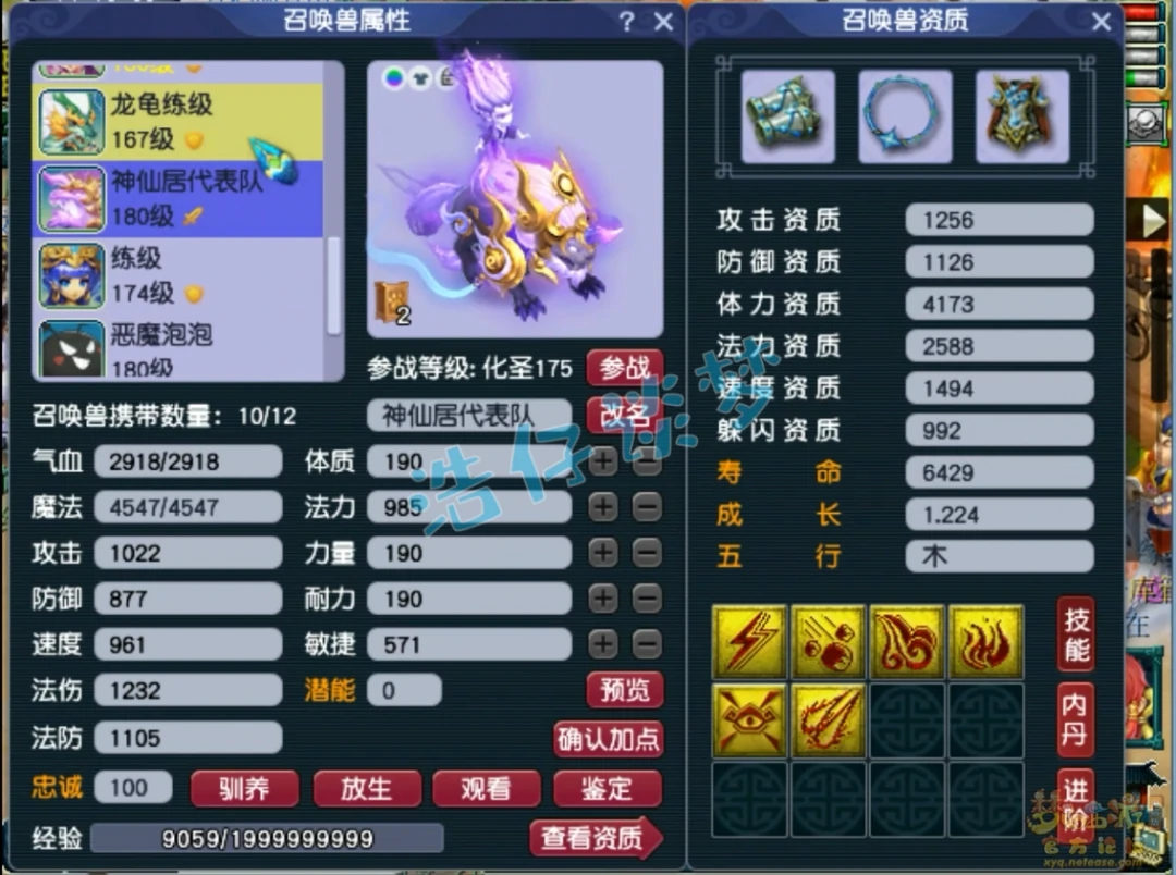 任务狮驼175展示,梦幻西游
