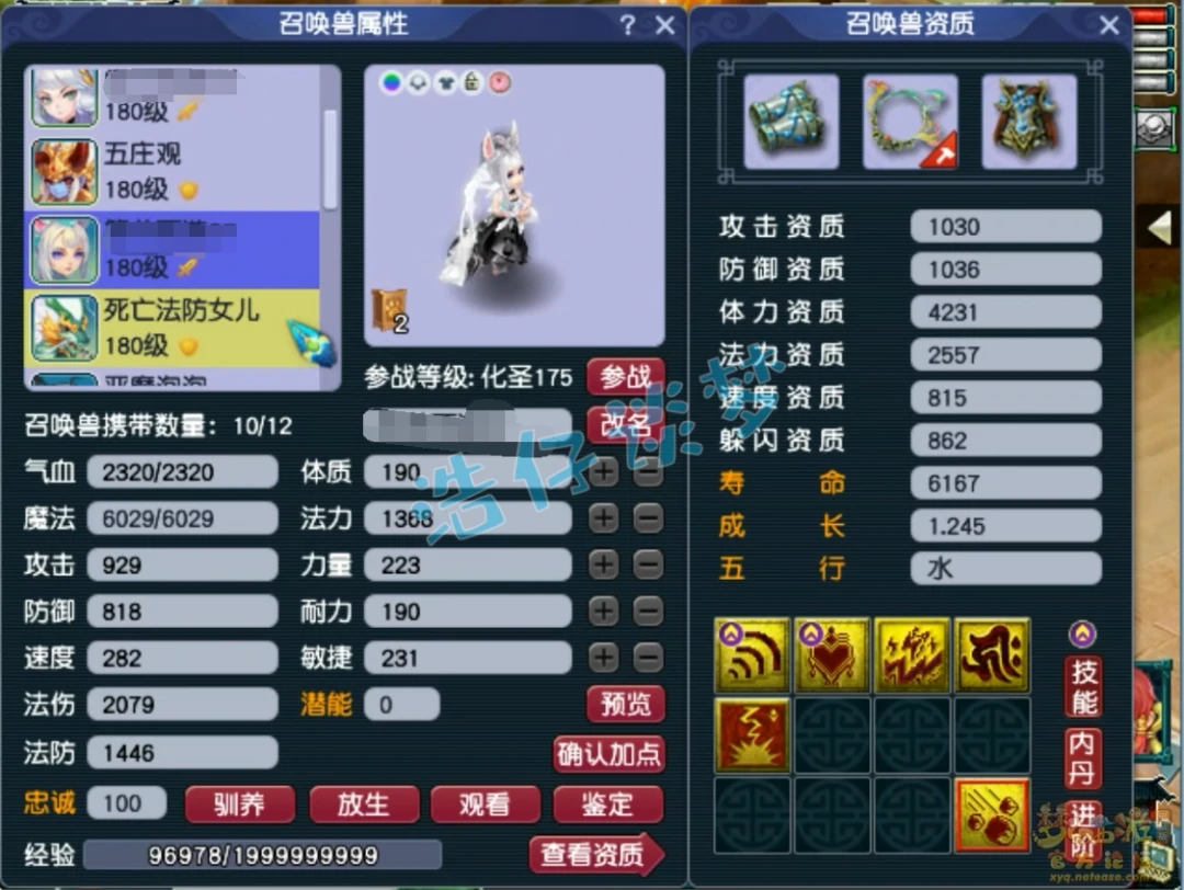 力五庄175展示,梦幻西游