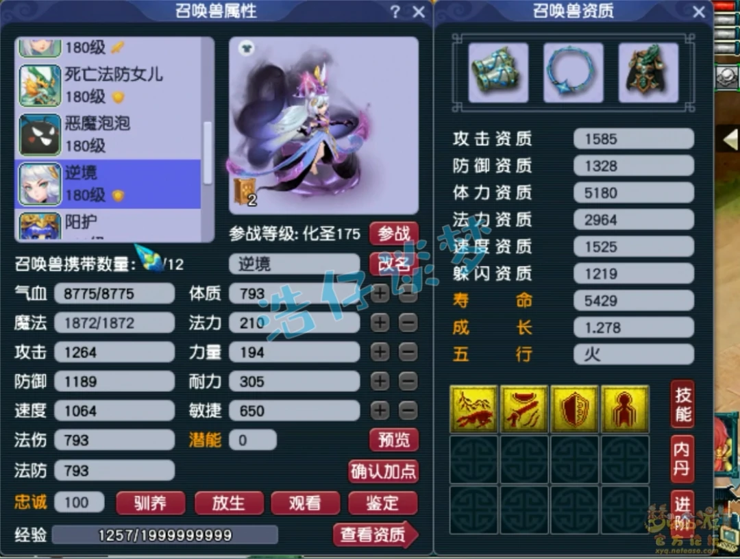 力五庄175展示,梦幻西游