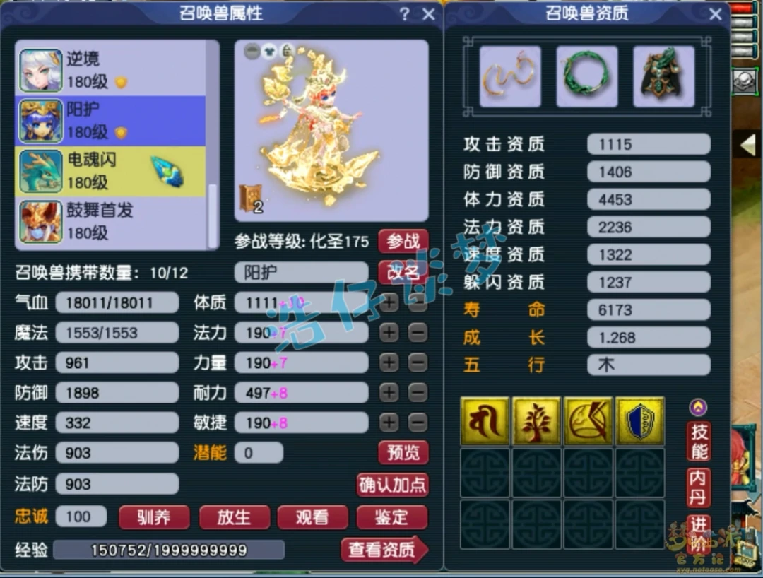 力五庄175展示,梦幻西游