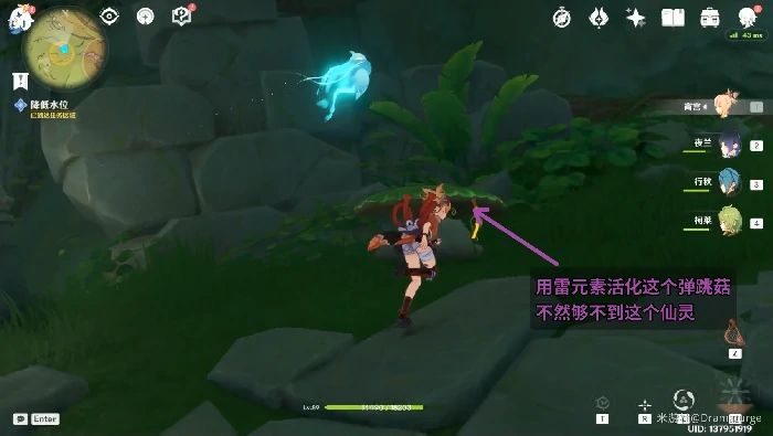 原神吉祥具书罗因贾篇任务攻略,原神