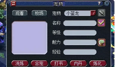 梦幻西游合宠攻略,梦幻西游