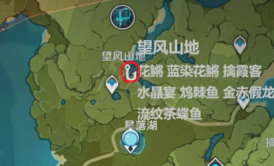 金赤假龙位置大全,原神