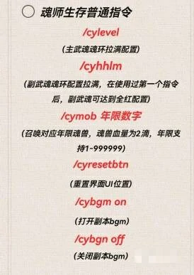 魂师之行作弊指令怎么用,我的世界