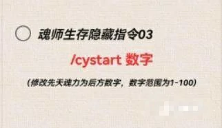 魂师之行作弊指令怎么用,我的世界