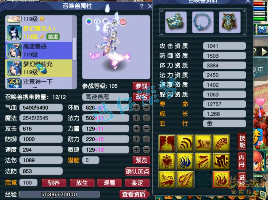 凌波城109级装备展示图,梦幻西游