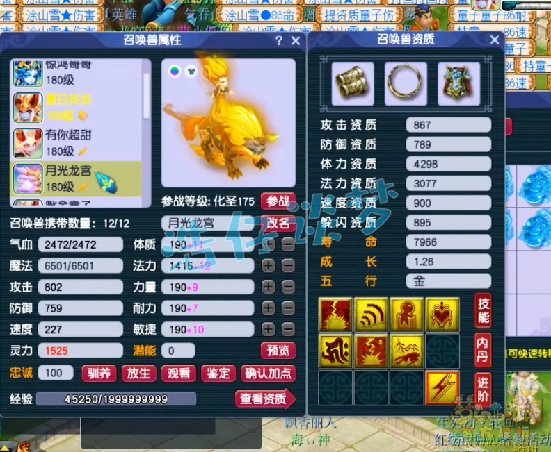 花果山装备175级展示图,梦幻西游