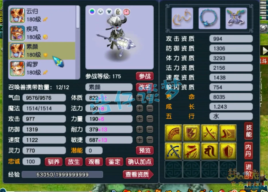普陀175级装备展示图,梦幻西游