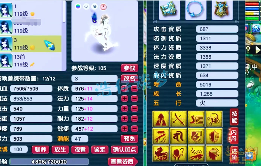 特殊血宠展示