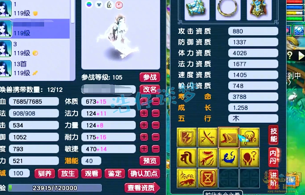 战宠技能展示