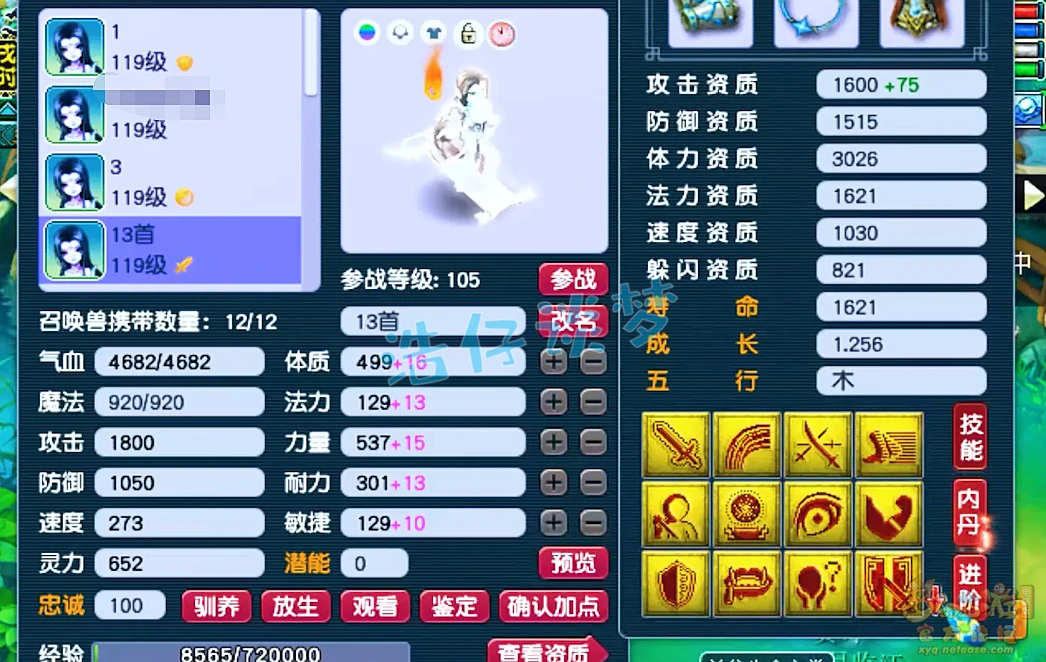 多技能攻宠展示