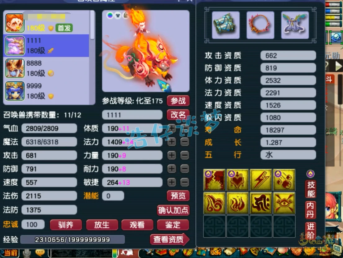 大唐服战175级装备展示图,梦幻西游