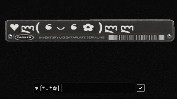 cs2枪怎么改名字