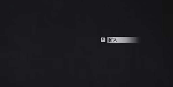 收集过程演示