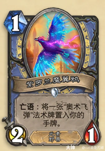 炉石传说迅猛龙年法师退环境卡牌一览,炉石传说