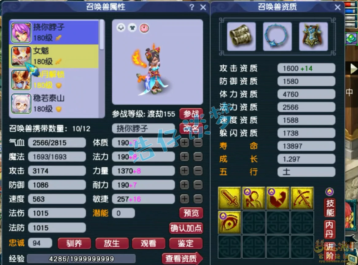 物理系灵宠