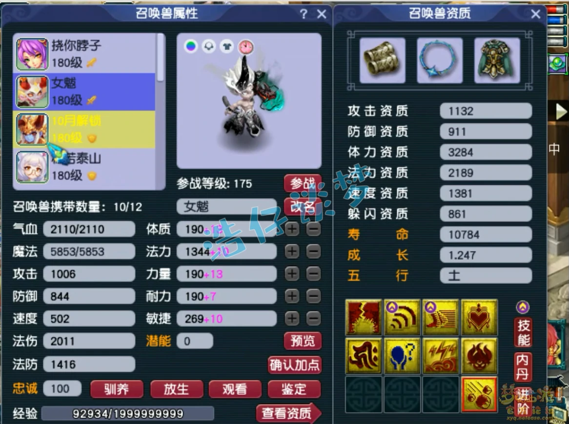法系灵宠